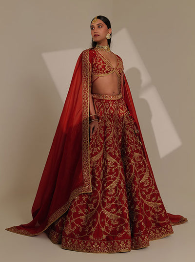 Katyayani : Goddess Parvati, Dressed in Red