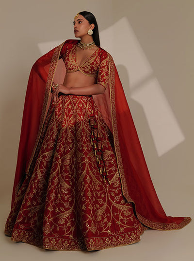 Katyayani : Goddess Parvati, Dressed in Red