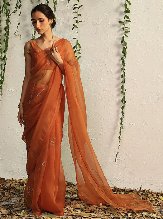 Spice Orange Organza Nakshi Saree with Blouse
