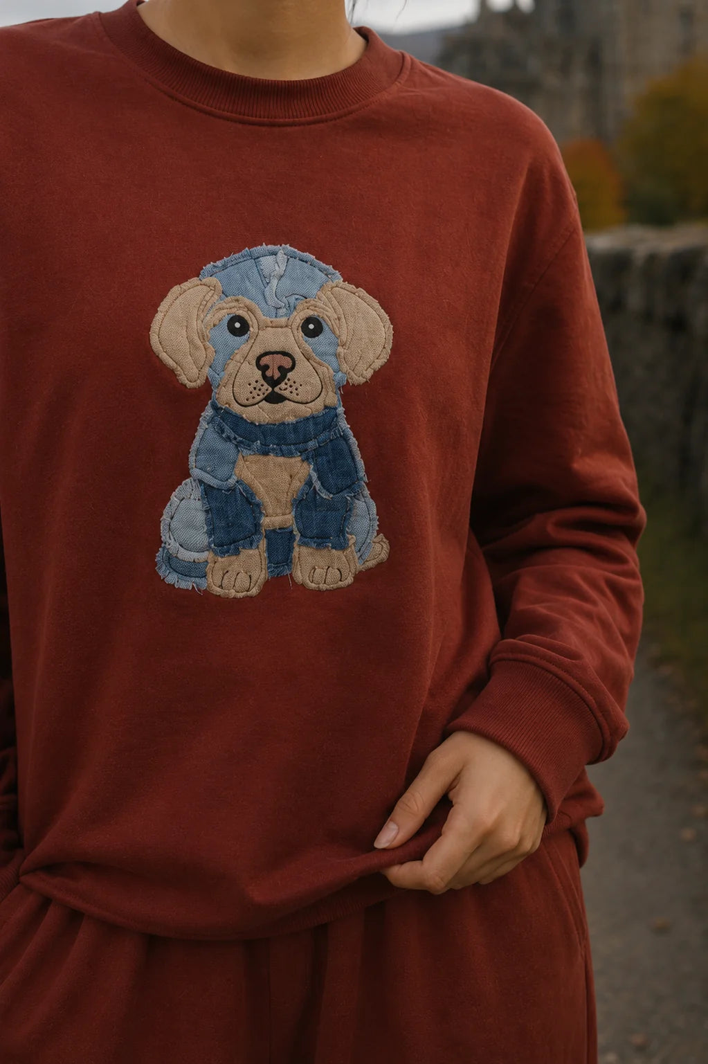 RUST DENIM DOG SWEATSHIRT
