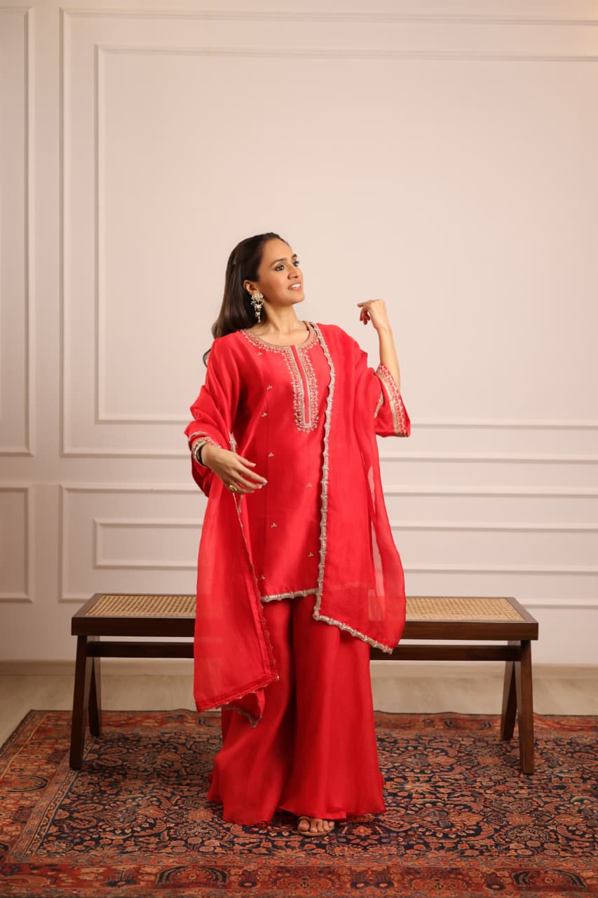 PETUNIA SHARARA SET RED