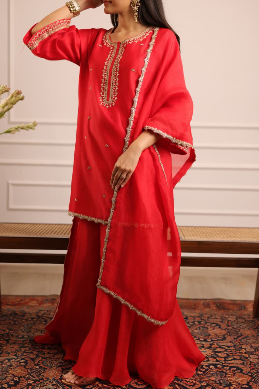 PETUNIA SHARARA SET RED