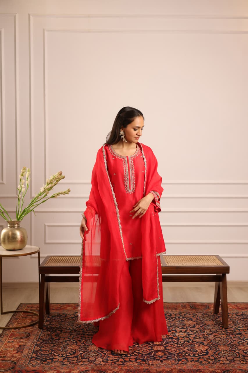 PETUNIA SHARARA SET RED
